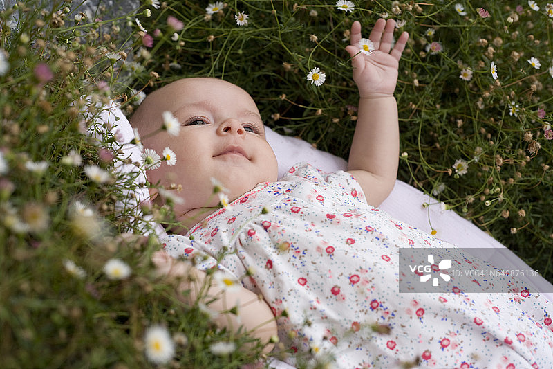 宝宝躺在花丛中图片素材