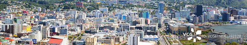 新西兰惠灵顿城市全景图片素材