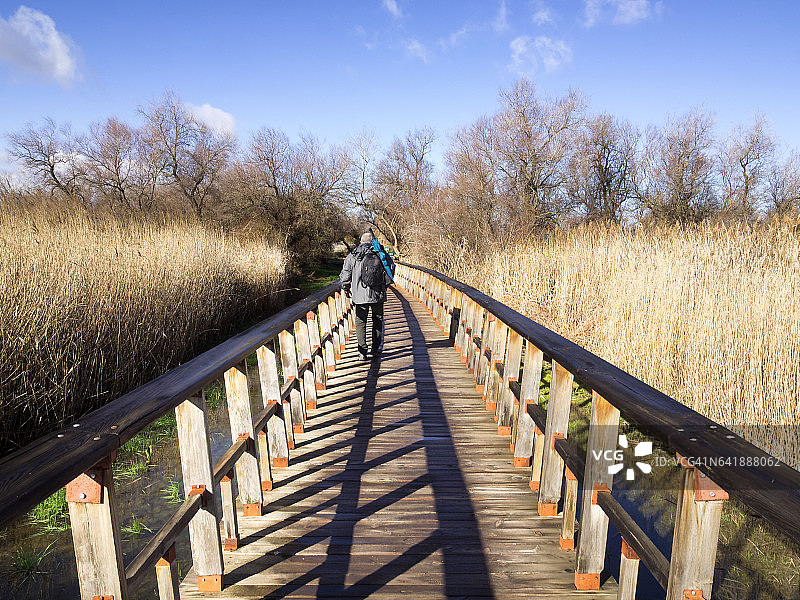 在西班牙塔布拉斯-德-达伊米埃尔湿地泻湖的木桥上散步的男子图片素材