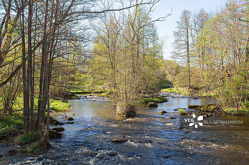 穿过落叶林的河流图片素材