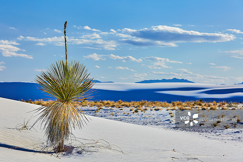 美国新墨西哥州白沙国家纪念地图片素材