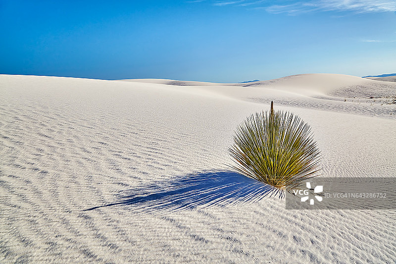 白沙国家纪念碑的硅质白沙丘图片素材