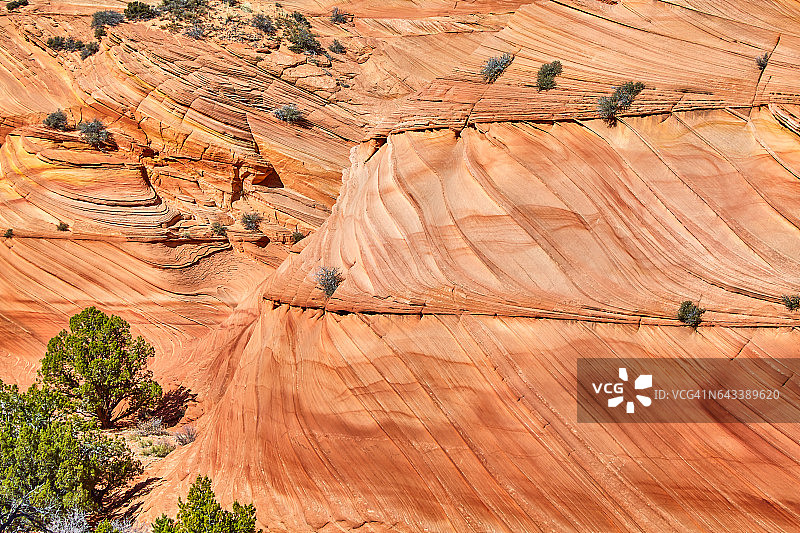 美国亚利桑那州南狼丘图片素材