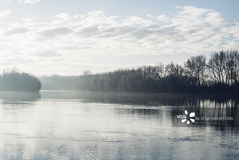 蒂萨河黎明河岸森林图片素材