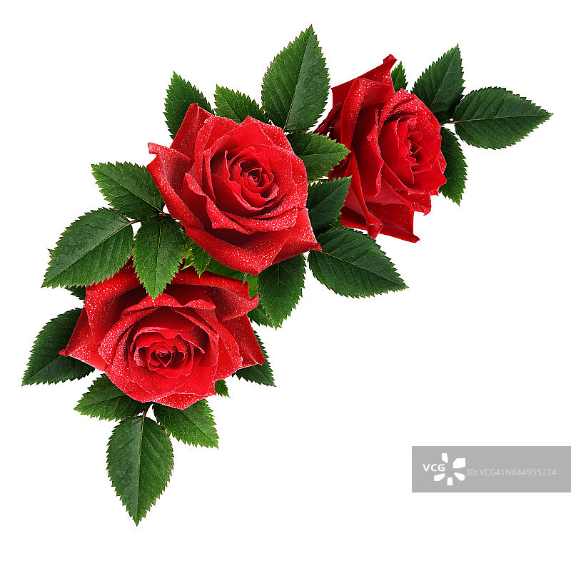 红玫瑰花角落装饰图片素材
