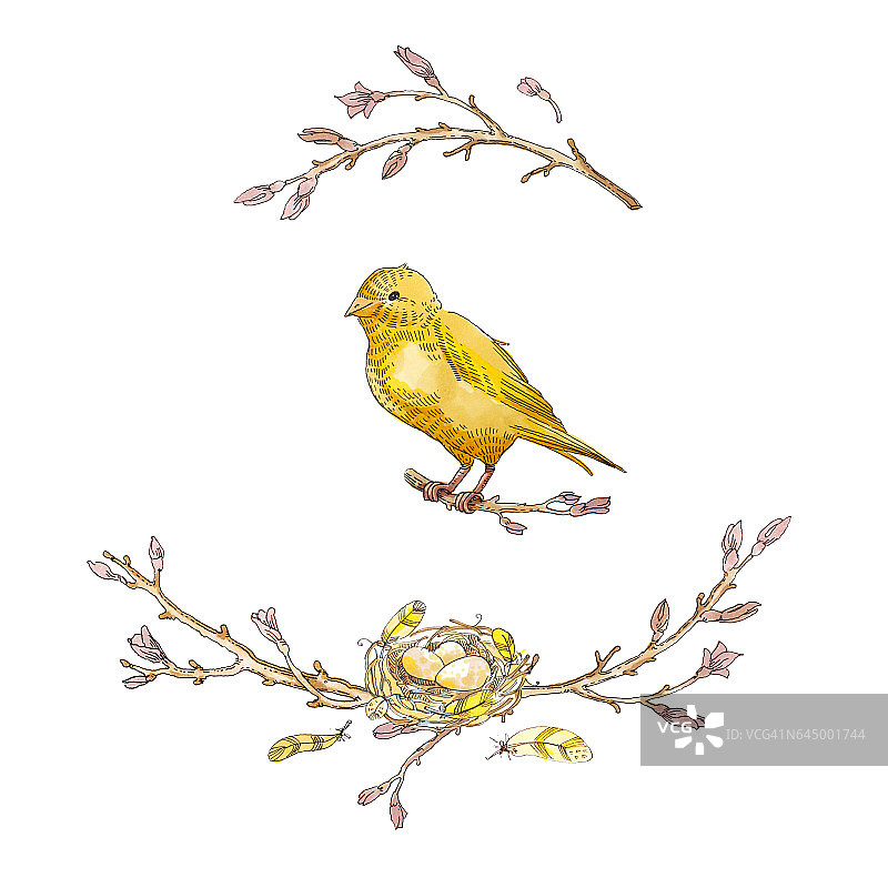 手绘水彩花环：树枝、鸟巢、金丝雀、翅膀和花朵，波西米亚风格，适用于T恤、请柬和婚礼卡片图片素材