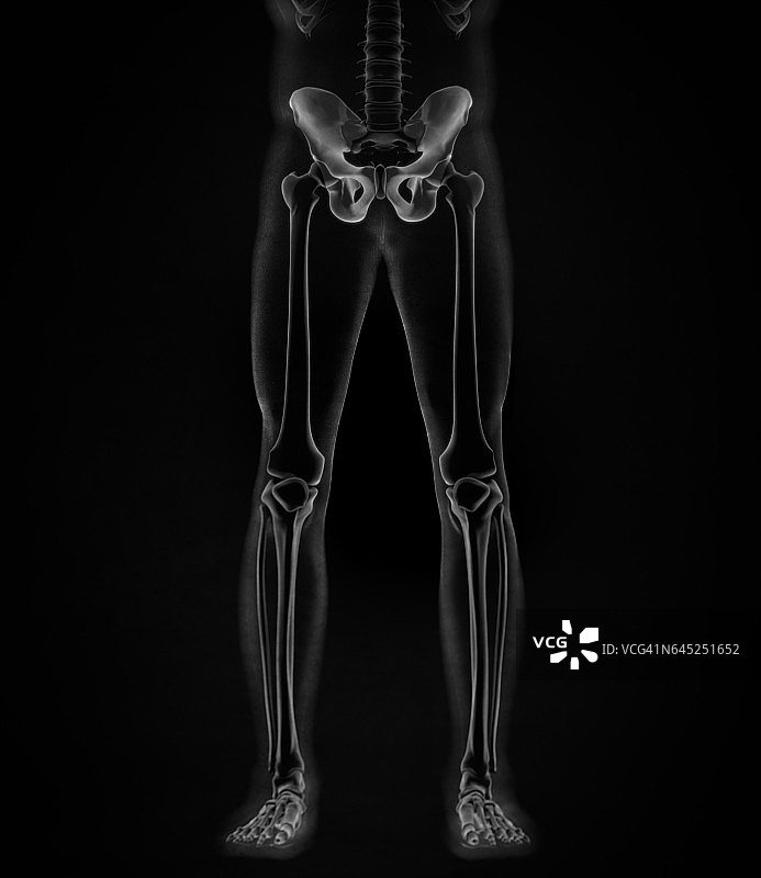 髂骨、髋骨盆骨骼X光解剖结构图片素材
