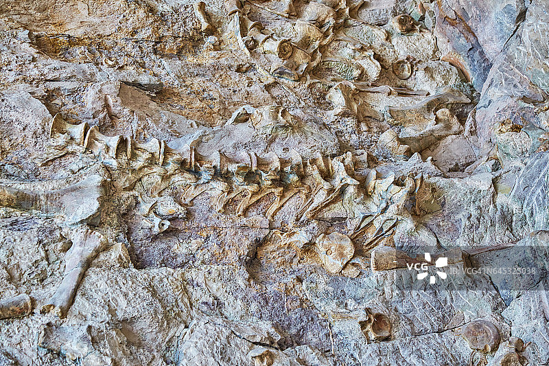 科罗拉多州/犹他州恐龙国家纪念地图片素材