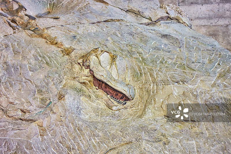 科罗拉多州/犹他州恐龙国家纪念地图片素材