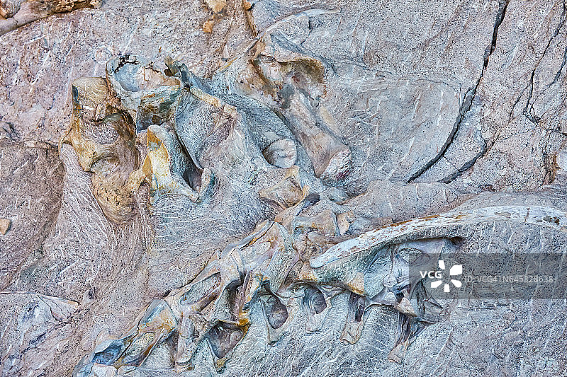 科罗拉多州/犹他州恐龙国家纪念地图片素材