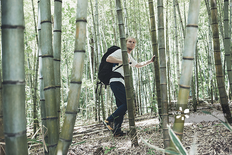 中山道竹林中的徒步旅行者图片素材