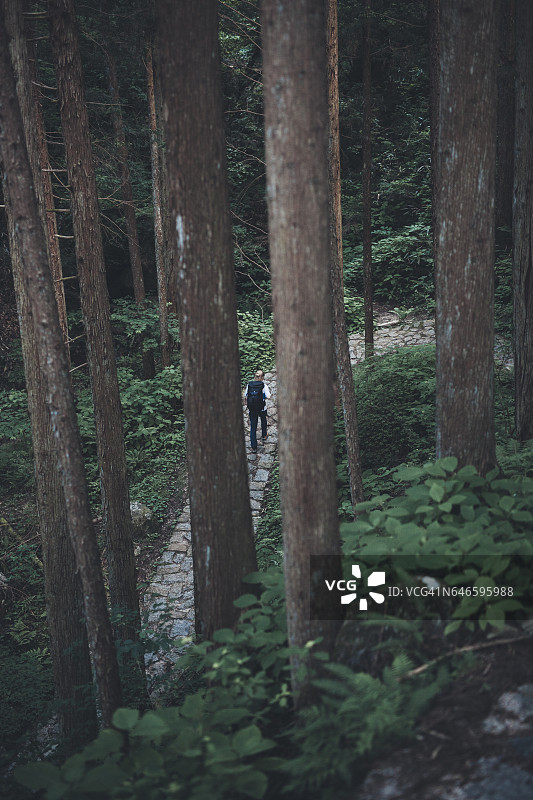 徒步者在中山道树林之间图片素材