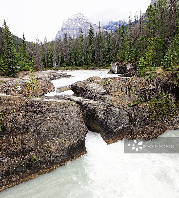 加拿大不列颠哥伦比亚省菲尔德以西踢马河上的天然桥图片素材