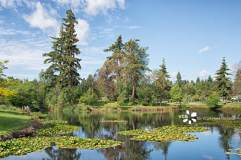 春天里的麦地那公园图片素材
