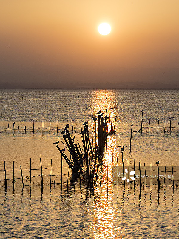 西班牙瓦伦西亚阿尔布费拉湖日落，配有捕鱼用的手工陷阱图片素材