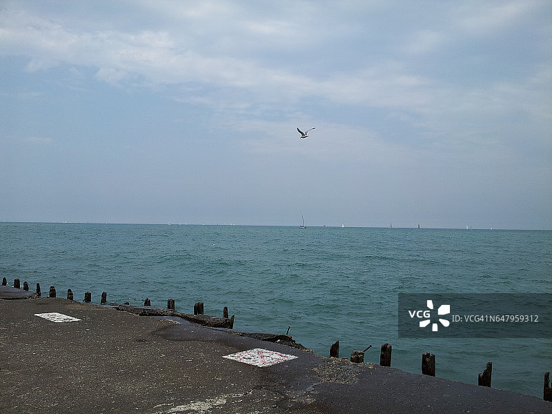 芝加哥密歇根湖湖畔风光图片素材