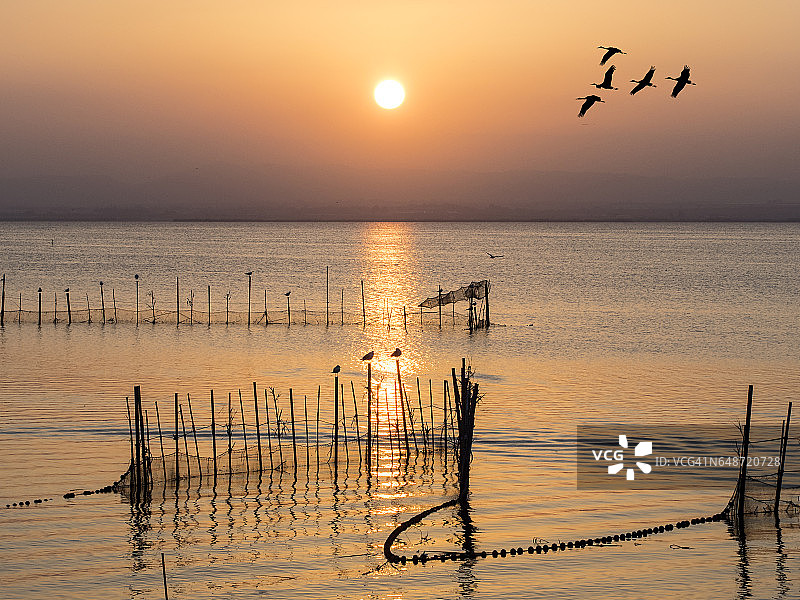 西班牙瓦伦西亚阿尔布费拉湖日落，配有捕鱼用的手工陷阱图片素材