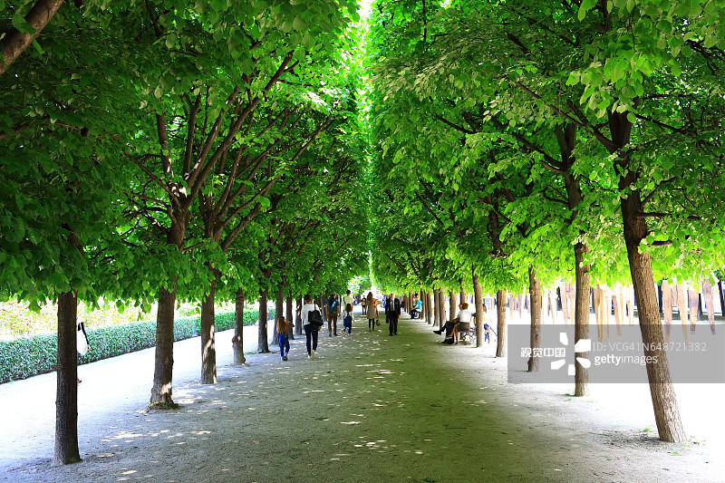 皇家宫殿花园图片素材