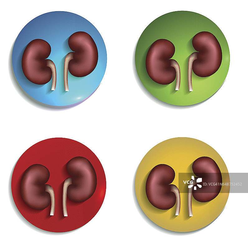 彩色肾脏图标集图片素材