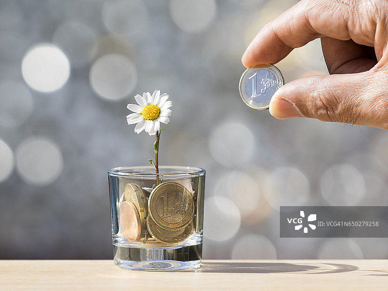 男人用欧元支付给硬币植物图片素材