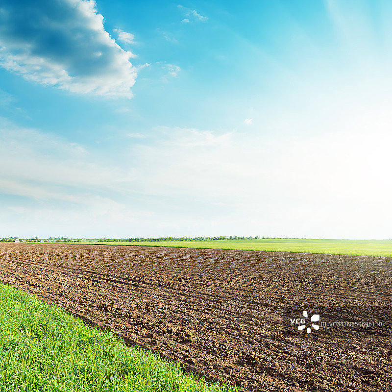 黑色和绿色农业田地与蓝色天空日落图片素材