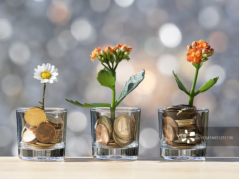 以花卉种植，以钱币为肥料，沐浴在阳光下图片素材