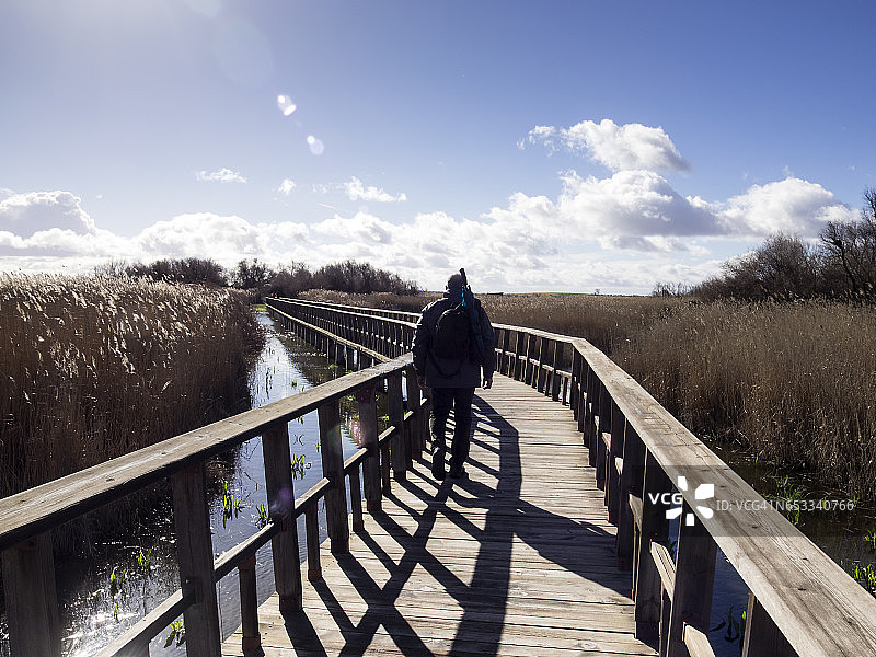 在西班牙塔布拉斯-德-达伊米埃尔湿地泻湖的木桥上散步的男子图片素材
