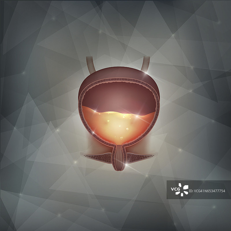 膀胱抽象背景图片素材
