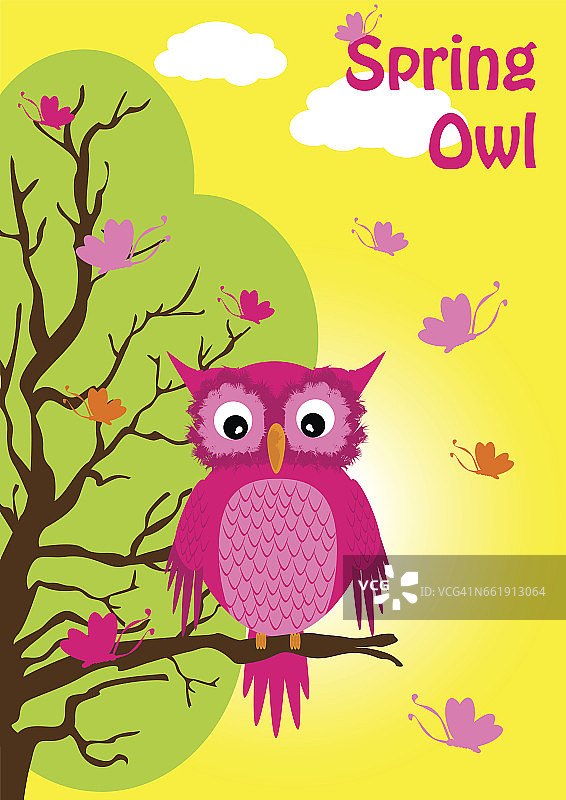 春季猫头鹰图片素材