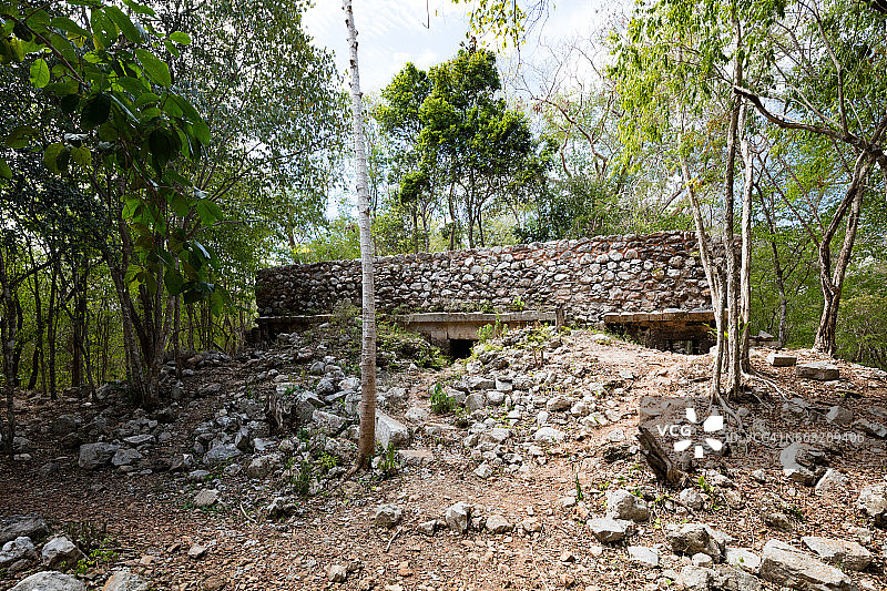 尤卡坦萨伊尔考古遗址中淹没在丛林中的寺庙遗址图片素材