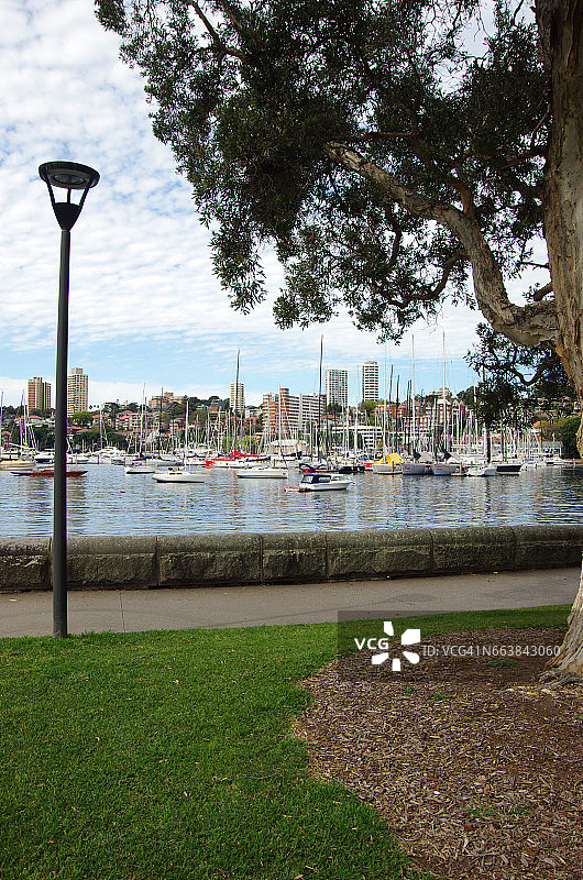澳大利亚新南威尔士州 Rushcutters Bay 公园图片素材