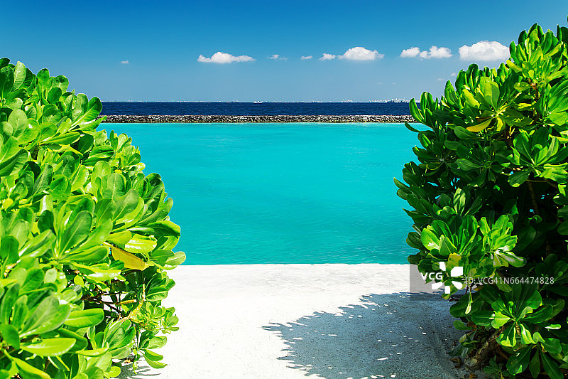 白天热带岛屿的美丽自然景观，马尔代夫图片素材