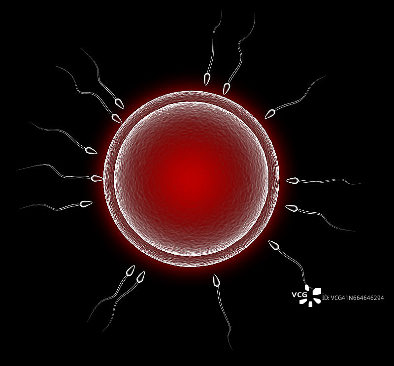 新生活图片素材