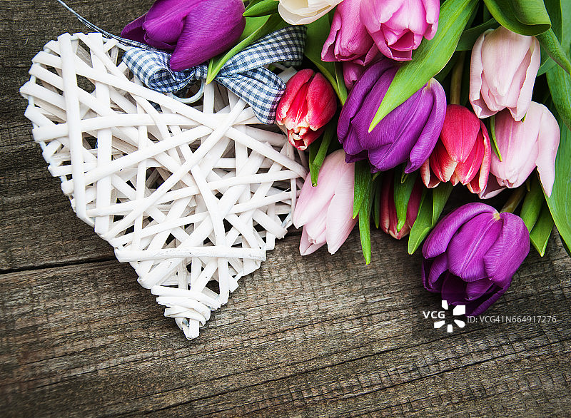 春天的郁金香花图片素材