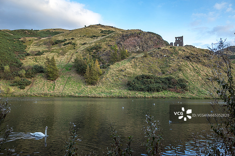 爱丁堡荷里路德公园圣玛格丽特湖与天鹅图片素材