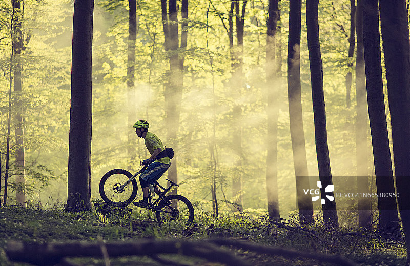在森林中骑山地自行车图片素材