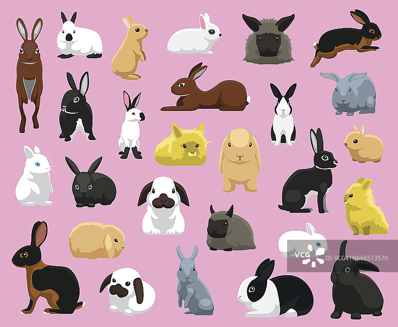 家兔品种卡通矢量插画图片素材