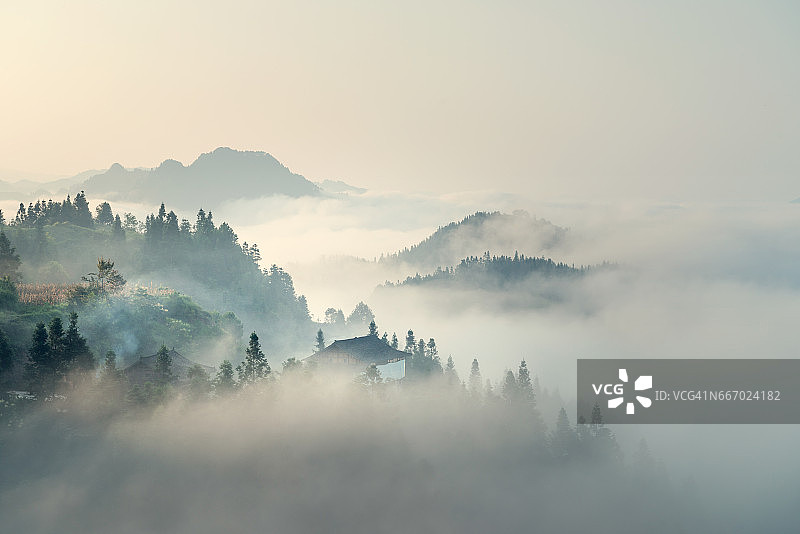 清晨薄雾图片素材