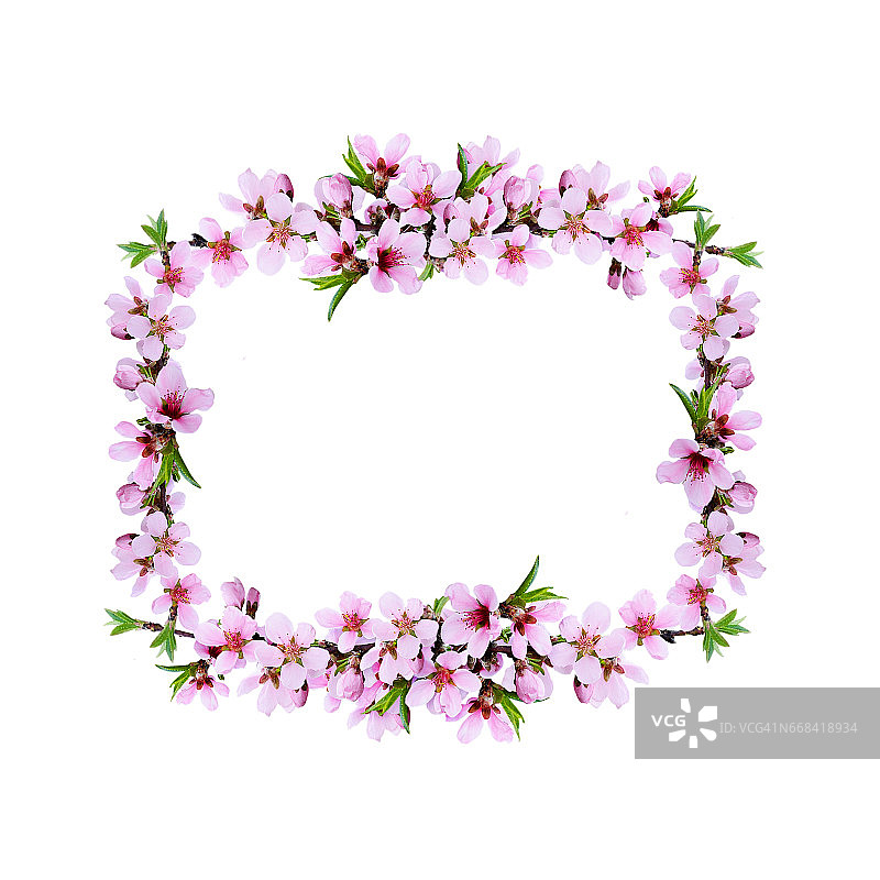 粉色桃枝框架图片素材