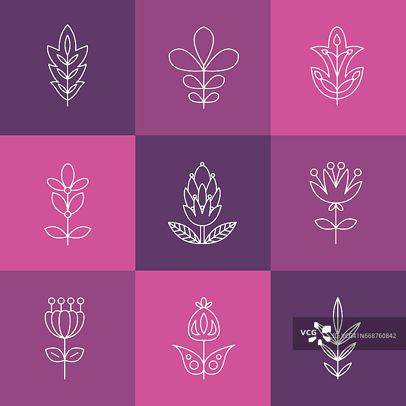 花卉图案合集图片素材