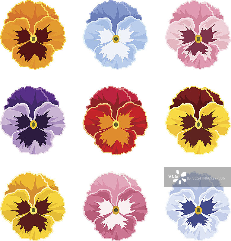 彩色三色堇花朵矢量图图片素材