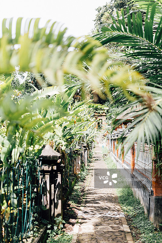 巴厘岛提尔塔冈加宫的花园小径图片素材