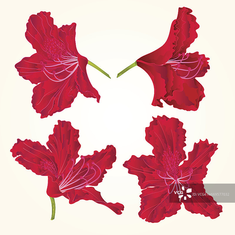 红色复古杜鹃花矢量素材图片素材
