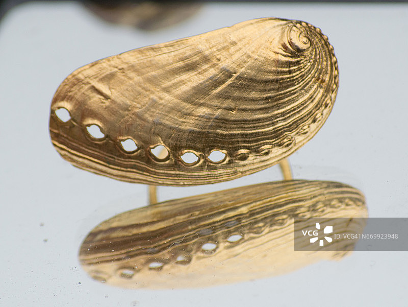 鲍鱼壳形珠宝图片素材