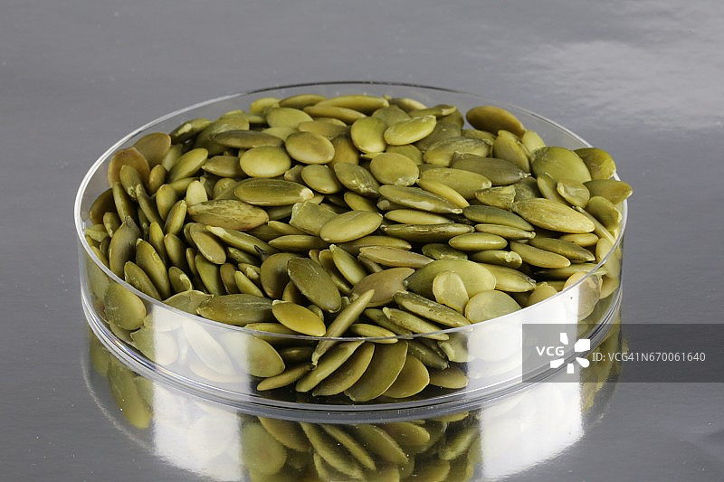 一盘生南瓜籽（Cucurbita pepo）图片素材