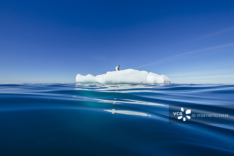 罗斯海特拉诺瓦湾冰山上的阿德利企鹅图片素材