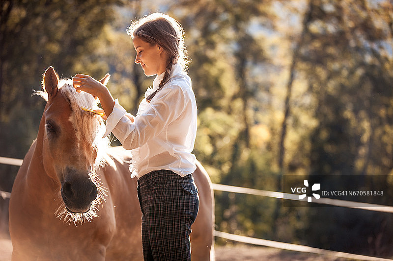 照顾马匹的年轻漂亮女人图片素材