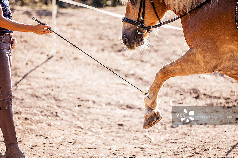 骑马和爱抚马图片素材