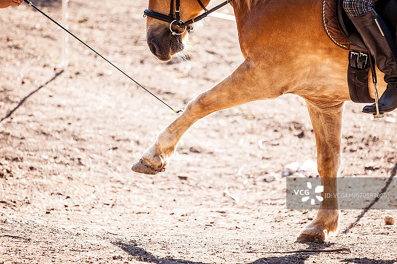 骑马和爱抚马图片素材