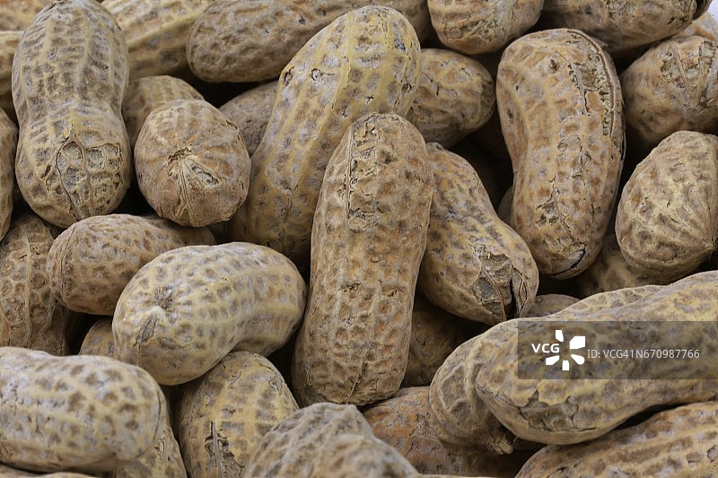 带壳花生（Arachis hypogaea）的完整画面图片素材